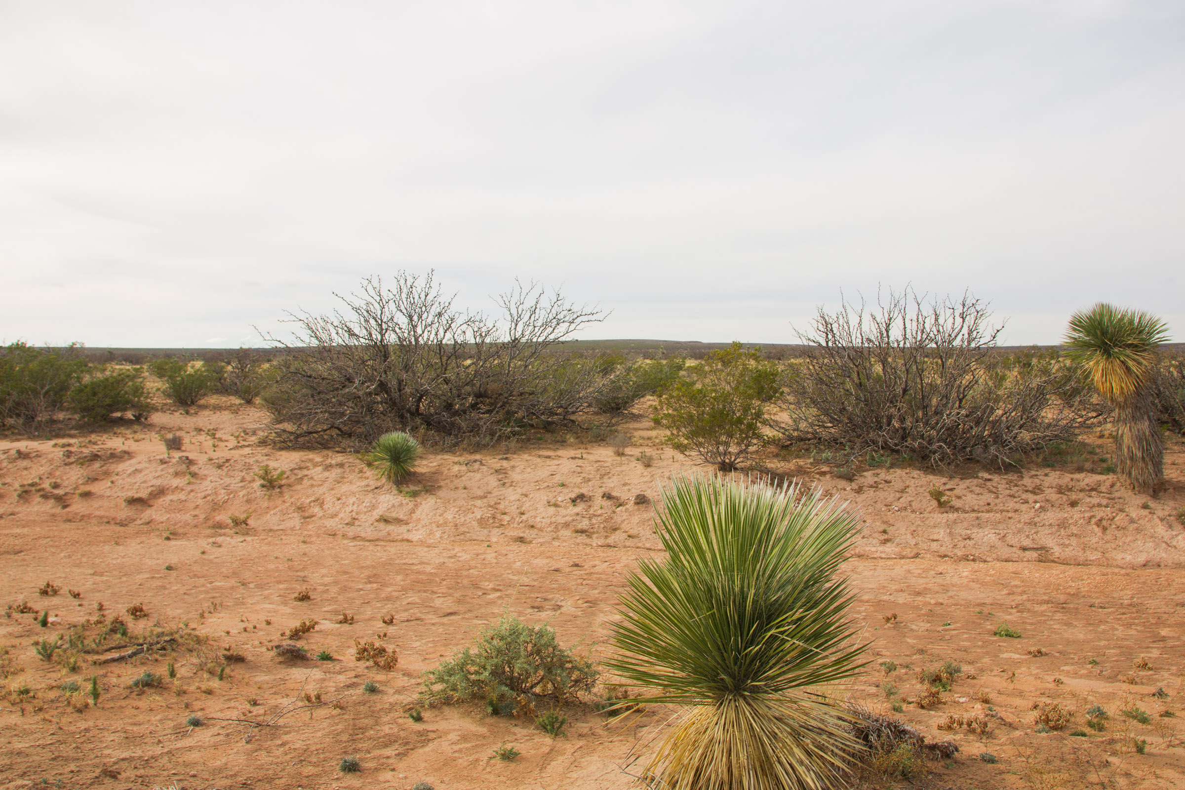 Tract 16 at Sunset Ranches in Hudspeth County, Texas