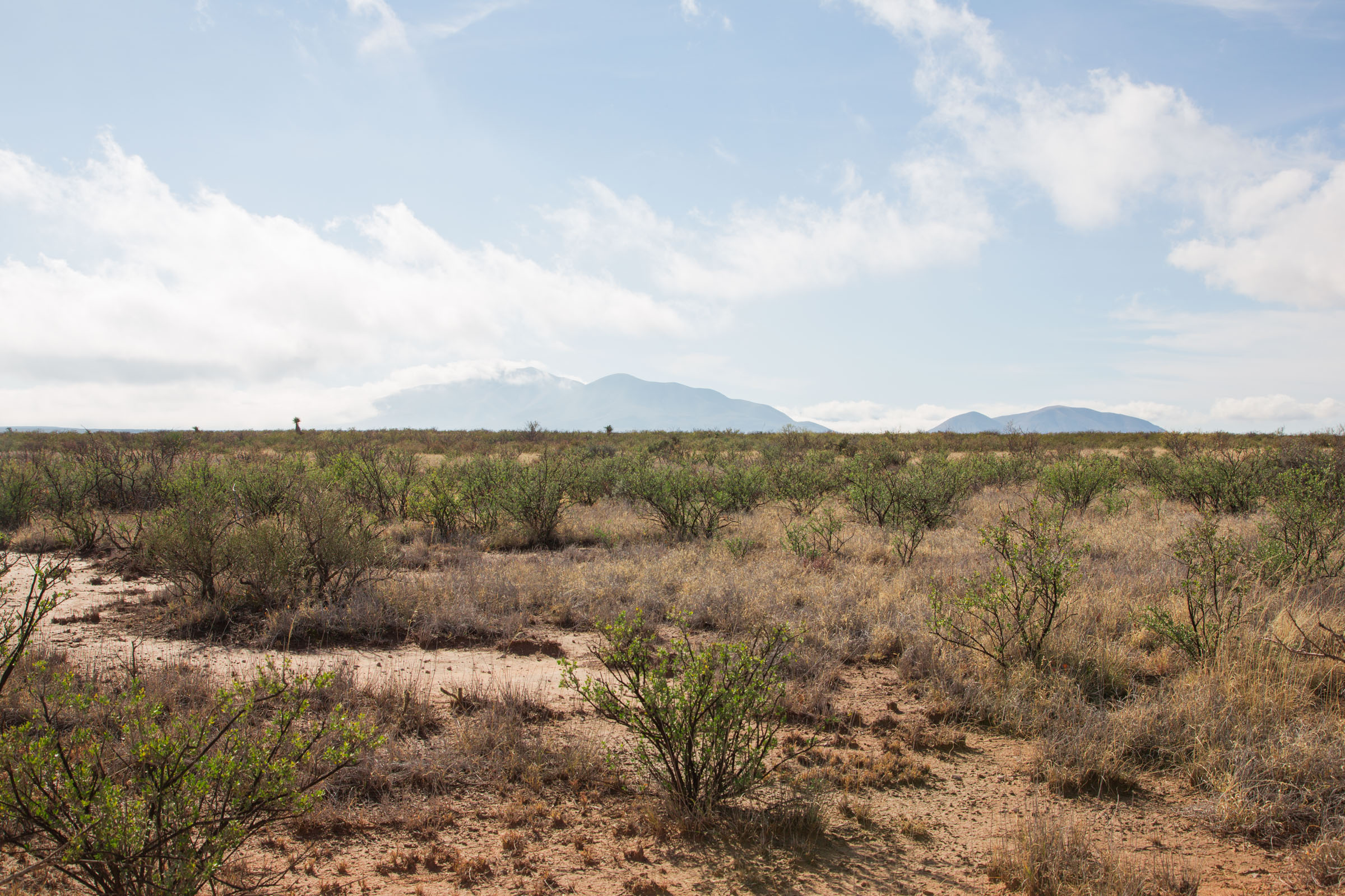 Tract 12 at Sunset Ranches in Hudspeth County, Texas